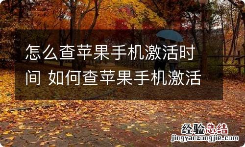 怎么查苹果手机激活时间 如何查苹果手机激活时间