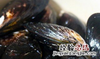 海虹的清洗方法 海虹清洗方法