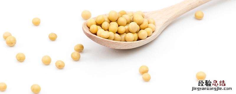 黄豆打豆浆可以下奶吗 哺乳期能天天喝豆浆吗