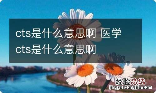 cts是什么意思啊 医学cts是什么意思啊