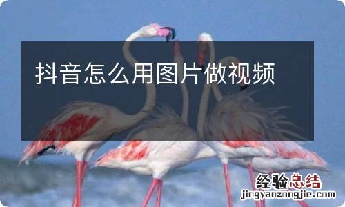 抖音怎么用图片做视频