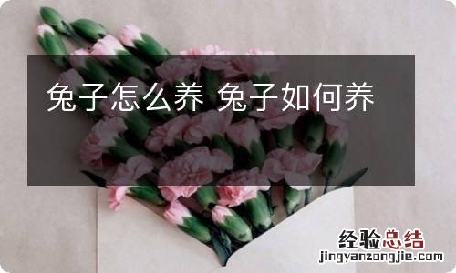 兔子怎么养 兔子如何养