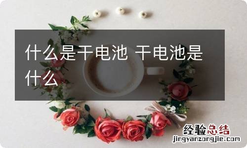 什么是干电池 干电池是什么