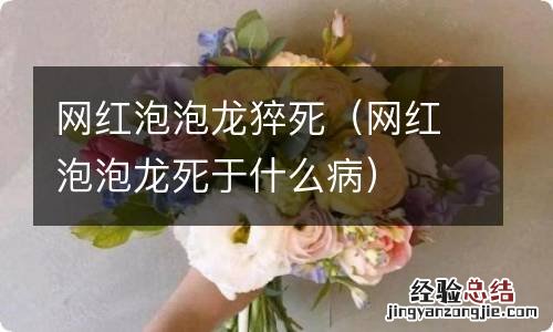 网红泡泡龙死于什么病 网红泡泡龙猝死