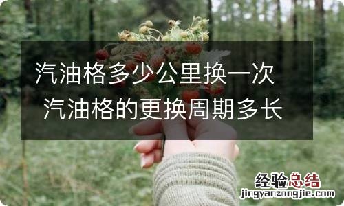 汽油格多少公里换一次 汽油格的更换周期多长