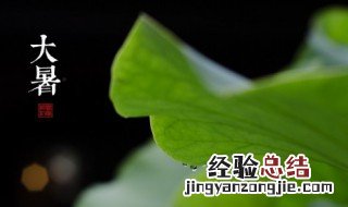 夏天怎样种法师容易服盆 夏天法师能服盆吗