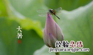 内蒙古很热吗 夏天内蒙古热吗