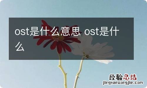 ost是什么意思 ost是什么