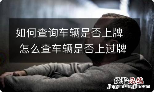 如何查询车辆是否上牌 怎么查车辆是否上过牌