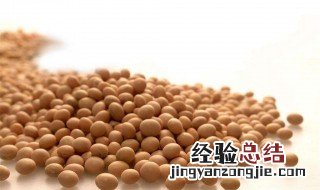 用黄豆灭老鼠方法 此法灭鼠效果可达95%以上