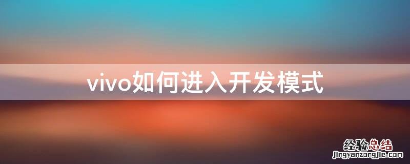 vivo如何进入开发者模式? vivo如何进入开发模式