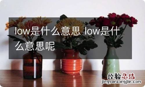 low是什么意思 low是什么意思呢