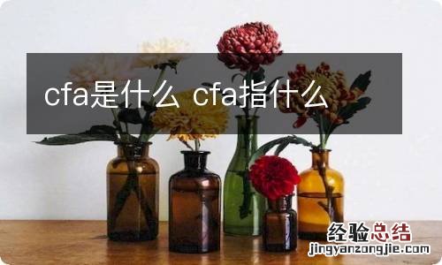 cfa是什么 cfa指什么