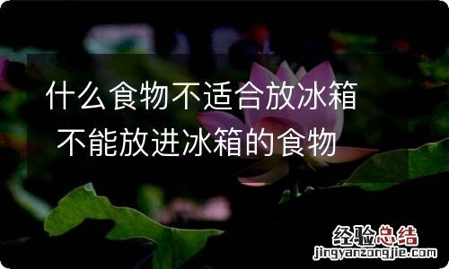什么食物不适合放冰箱 不能放进冰箱的食物