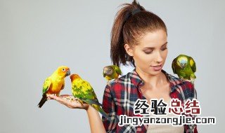 如何挑选黄鸟图片 如何挑选黄鸟