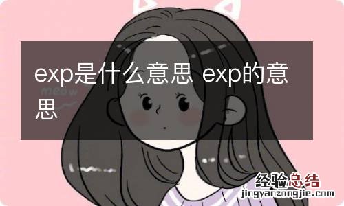 exp是什么意思 exp的意思