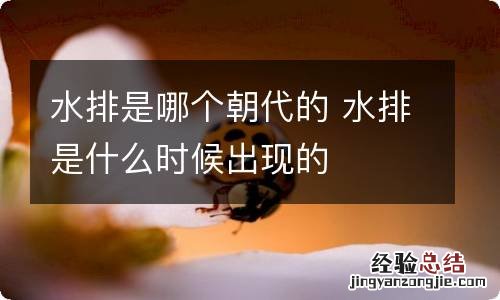 水排是哪个朝代的 水排是什么时候出现的