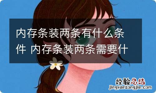 内存条装两条有什么条件 内存条装两条需要什么条件