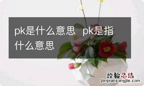 pk是什么意思pk是指什么意思