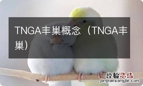 TNGA丰巢 TNGA丰巢概念