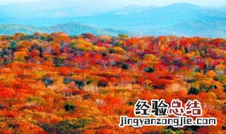 五花山在哪 五花山在哪个地方