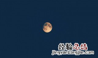 乡村秋夜打一动物 中秋之夜打一动物