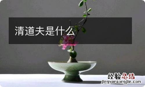 清道夫是什么