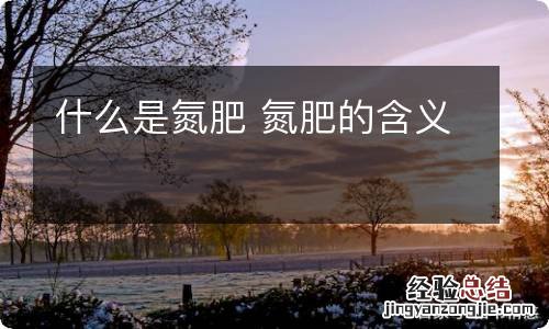 什么是氮肥 氮肥的含义