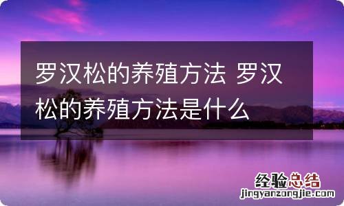 罗汉松的养殖方法 罗汉松的养殖方法是什么