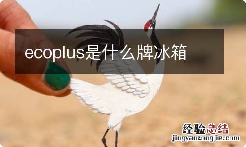 ecoplus是什么牌冰箱