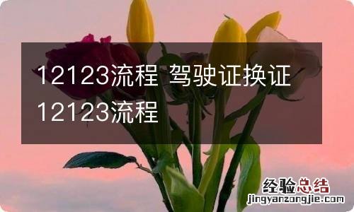 12123流程 驾驶证换证12123流程