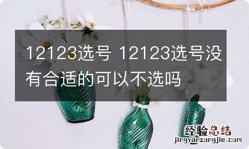 12123选号 12123选号没有合适的可以不选吗