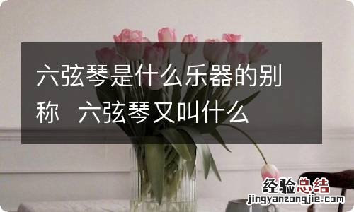 六弦琴是什么乐器的别称六弦琴又叫什么