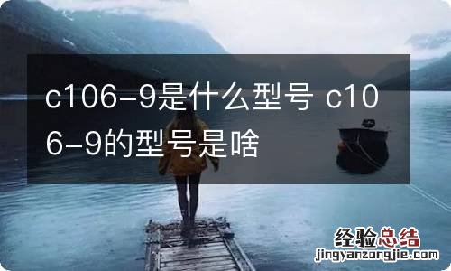 c106-9是什么型号 c106-9的型号是啥