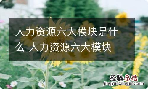 人力资源六大模块是什么 人力资源六大模块