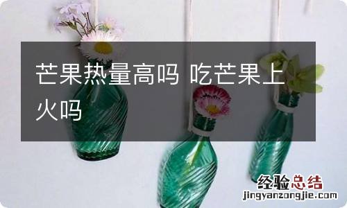 芒果热量高吗 吃芒果上火吗