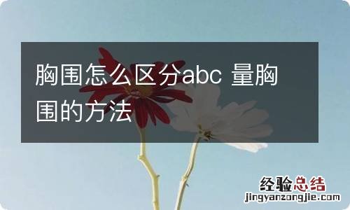 胸围怎么区分abc 量胸围的方法