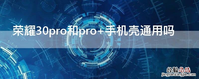 荣耀30pro和pro+手机壳通用吗