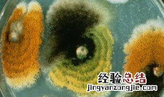 钠离子以什么方式进入细胞 钠离子以什么方式进入细胞膜