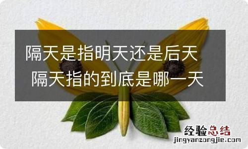 隔天是指明天还是后天 隔天指的到底是哪一天