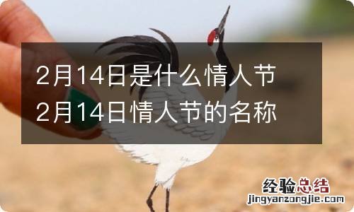 2月14日是什么情人节 2月14日情人节的名称