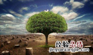 如何节约资源保护环境 如何节约资源保护环境的作文