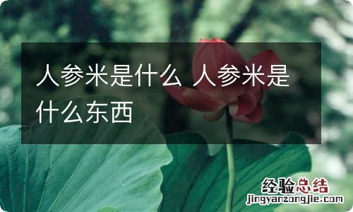 人参米是什么 人参米是什么东西