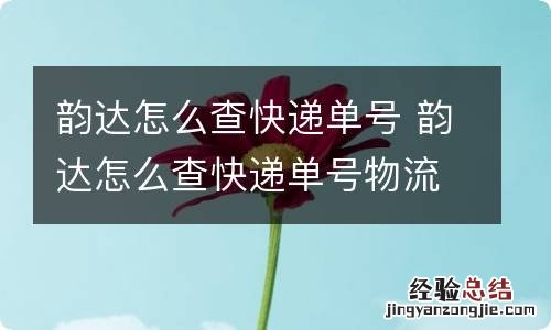 韵达怎么查快递单号 韵达怎么查快递单号物流信息