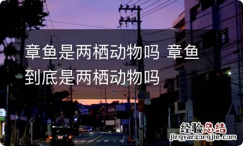 章鱼是两栖动物吗 章鱼到底是两栖动物吗