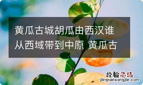 黄瓜古城胡瓜由西汉谁从西域带到中原 黄瓜古称胡瓜,由西汉谁从西域带到中原