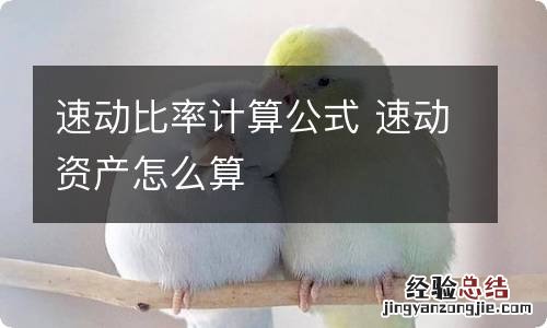 速动比率计算公式 速动资产怎么算