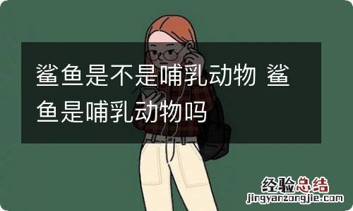 鲨鱼是不是哺乳动物 鲨鱼是哺乳动物吗