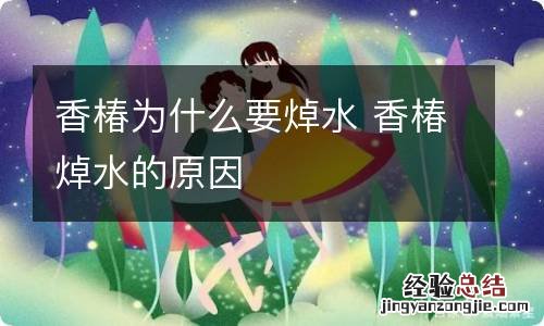 香椿为什么要焯水 香椿焯水的原因