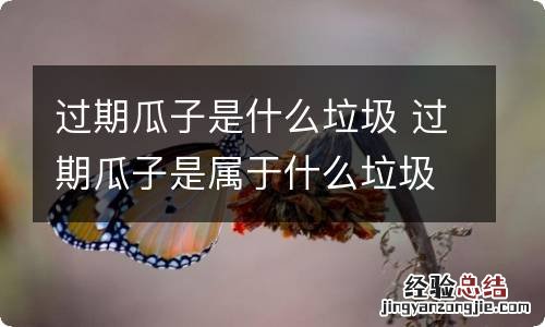 过期瓜子是什么垃圾 过期瓜子是属于什么垃圾